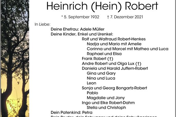 Heinrich Robert